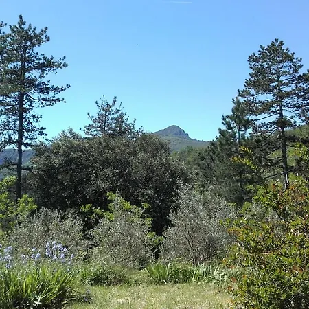 Mas Ferrieres Laurent *