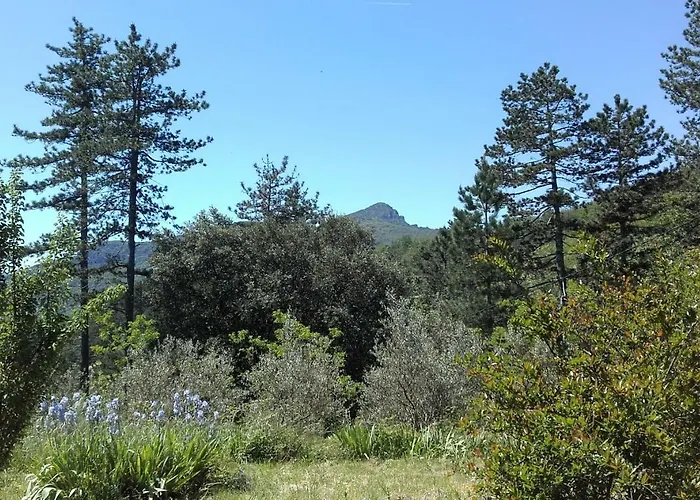 Mas Ferrieres Laurent *